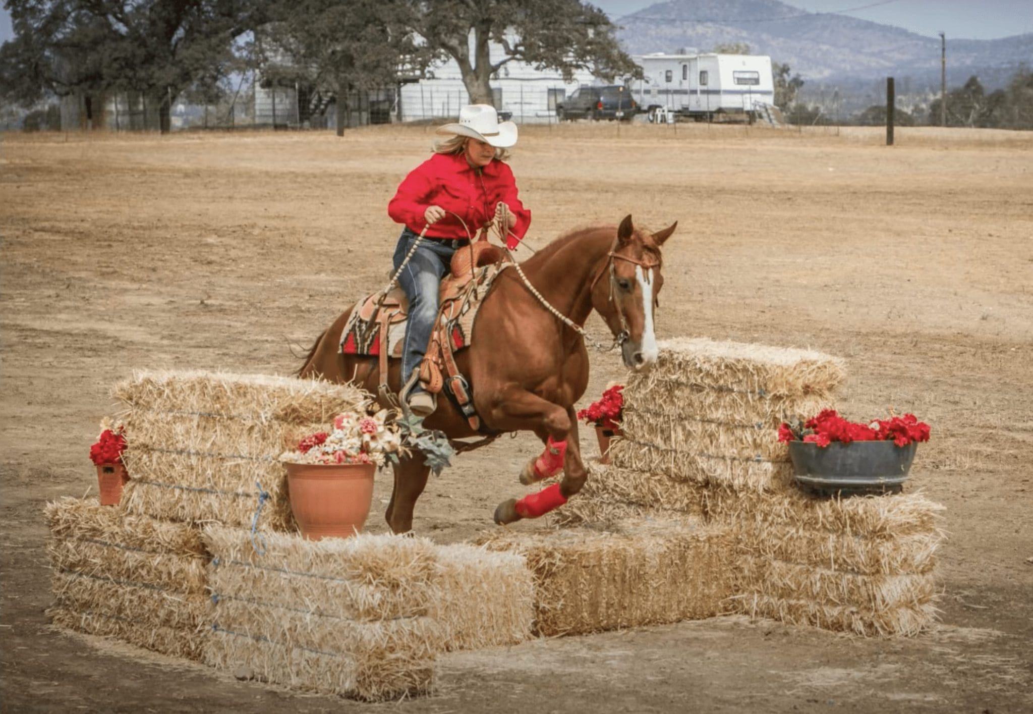 Cowboy Chalenge