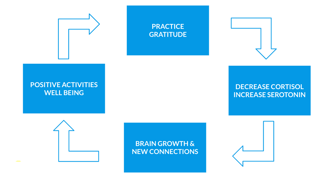 GratitudeCycle