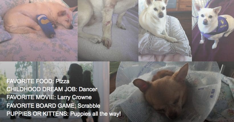 Five fun facts about Lisa. 