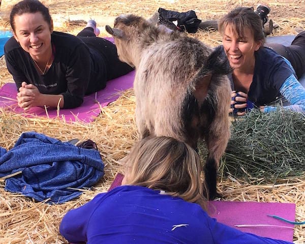 suzy_deline_web crop 2