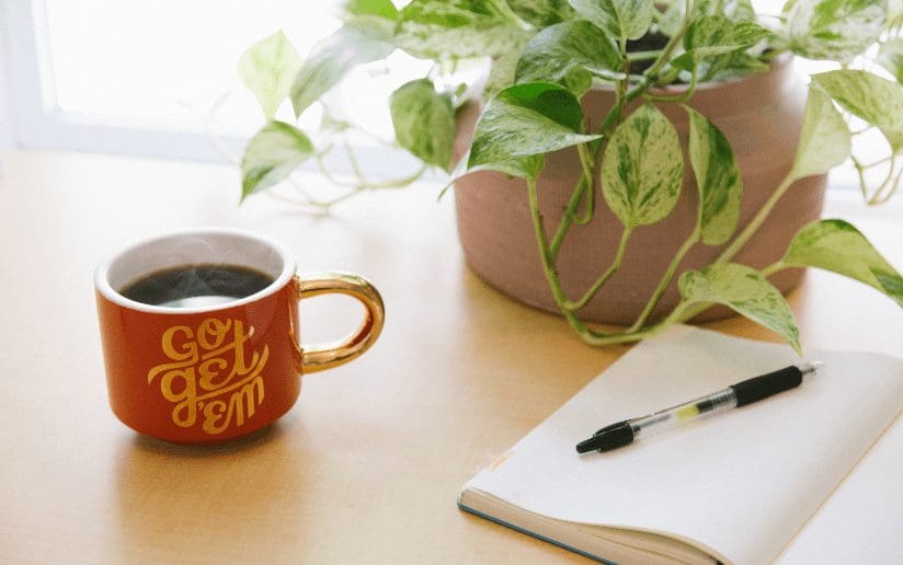 Coffee mug with "Go Get 'Em" text, notebook, pen, and potted plant on a desk.