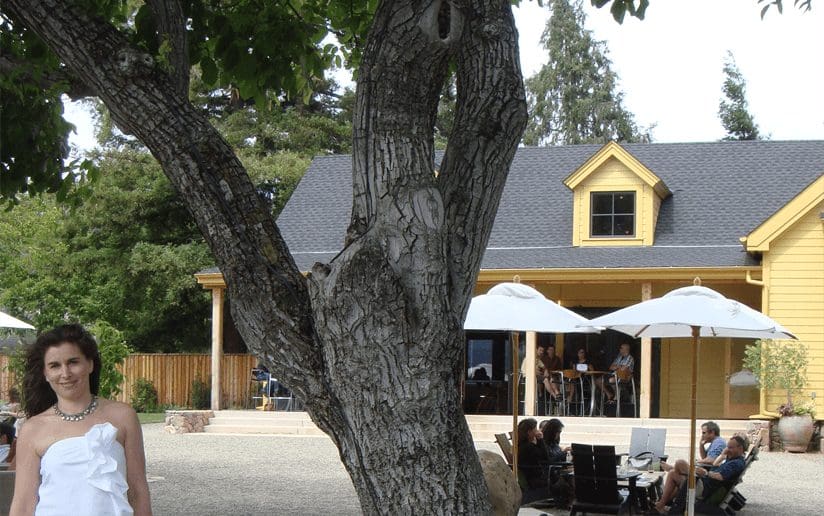 Outdoor wine tasting at a vineyard with people enjoying the ambiance, framed by a large tree.