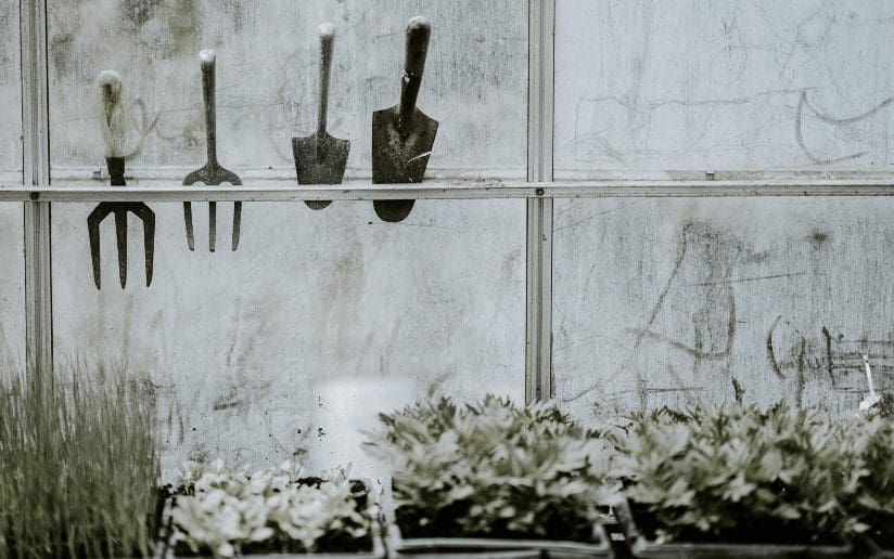 Gardening tools hanging above seedlings in a greenhouse. Preparing for effective nurture campaigns.