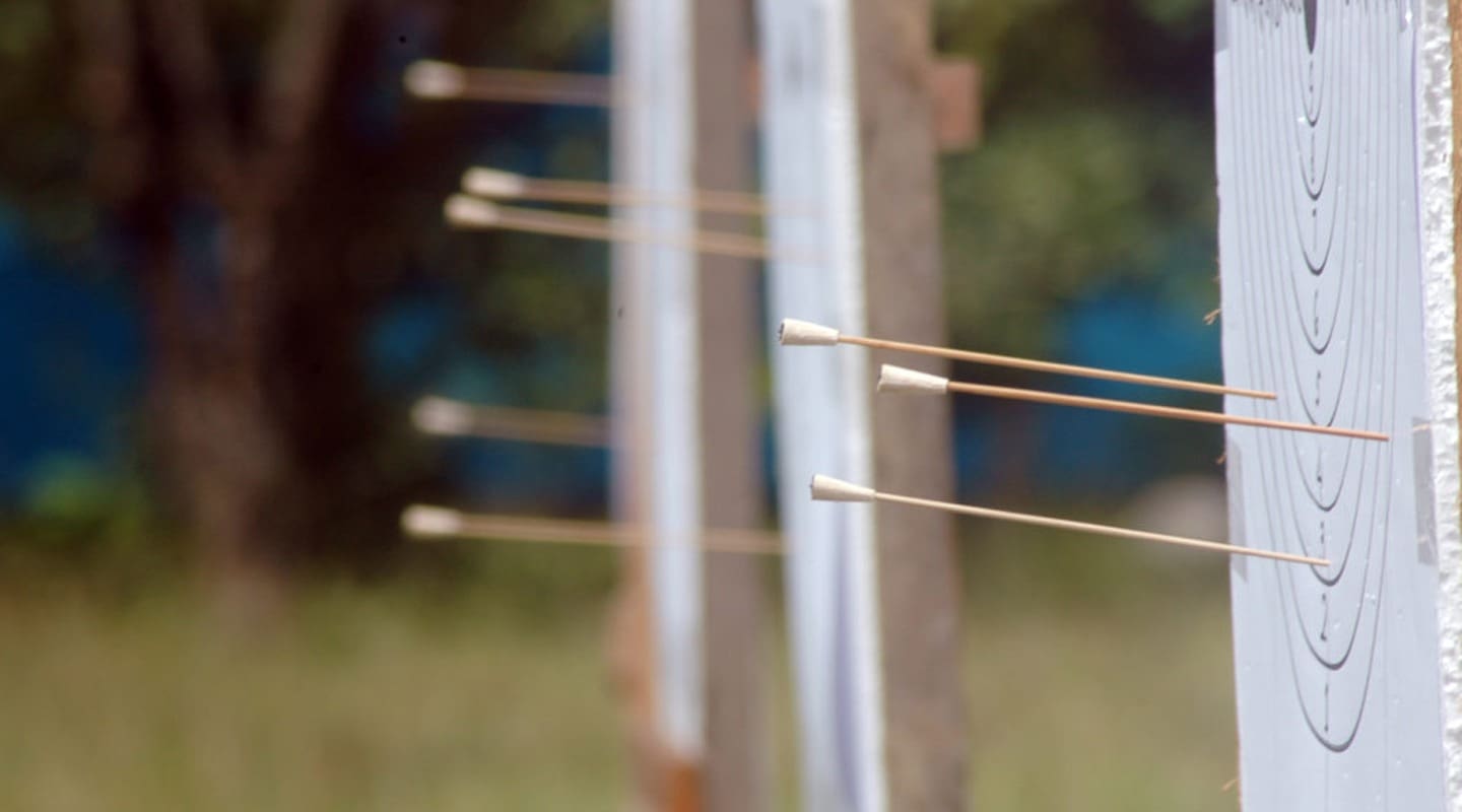 Arrows embedded in a target, demonstrating accuracy and precision.